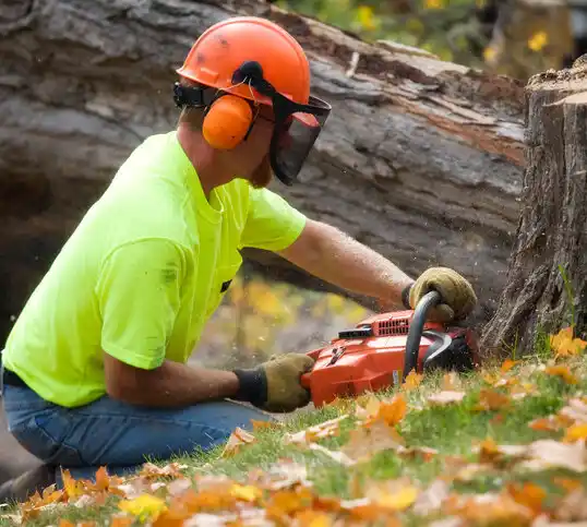 tree services Nissequogue